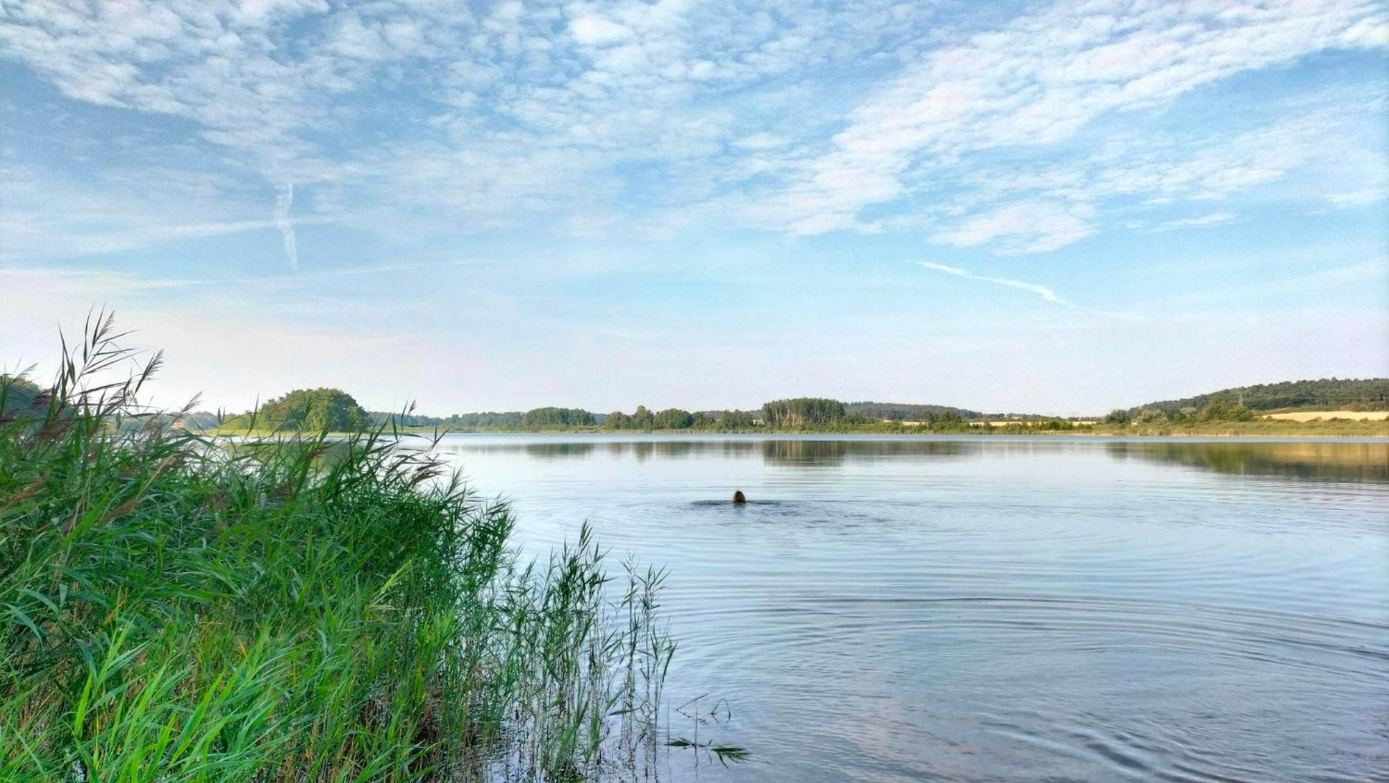 Ferienwohnung Uckermarkblick Ziehten Exterior photo